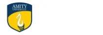 Amity University