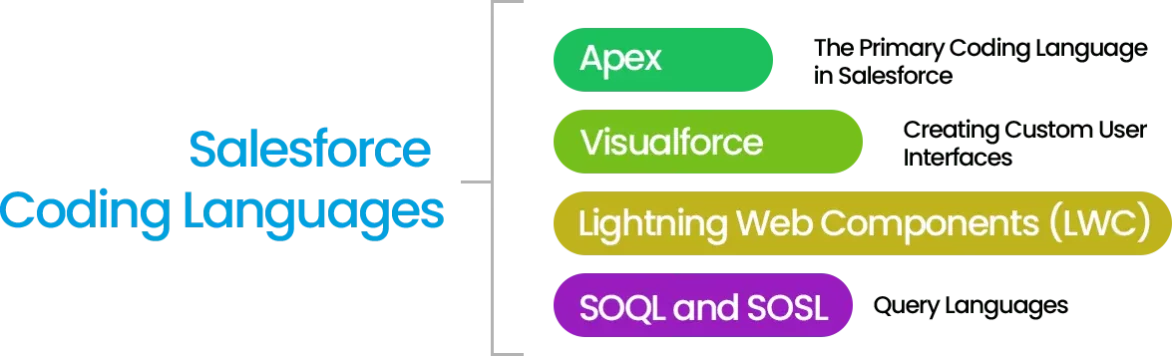 Salesforce Coding Languages - Apex, Visualforce, LWC, SOQL and SOSL