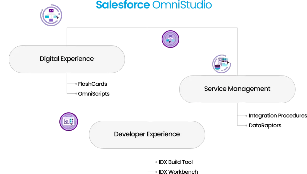 Salesforce OmniStudio components: FlashCards, OmniScripts, Integration Procedures, DataRaptors, IDX tools.