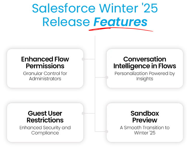 Winter '25 features: enhanced flow permissions, conversation intelligence, guest user restrictions, and sandbox preview.