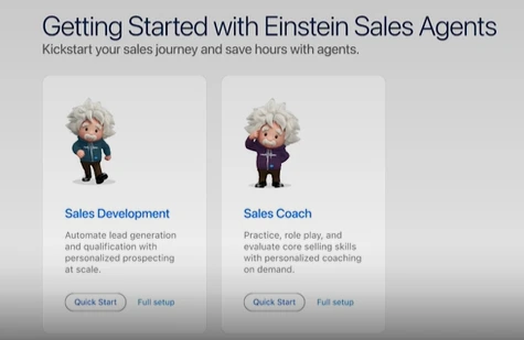 Einstein Sales Agents
