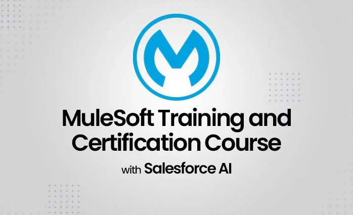 MuleSoft Training and Certification Course with Salesforce AI