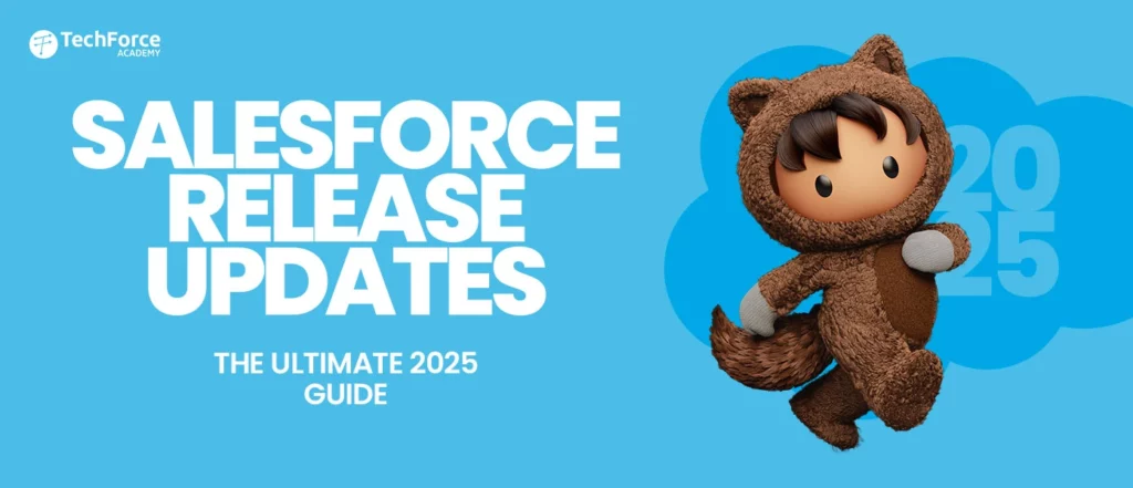 Salesforce Release Updates guide
