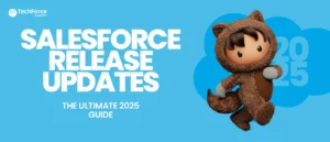 Salesforce Release Updates guide