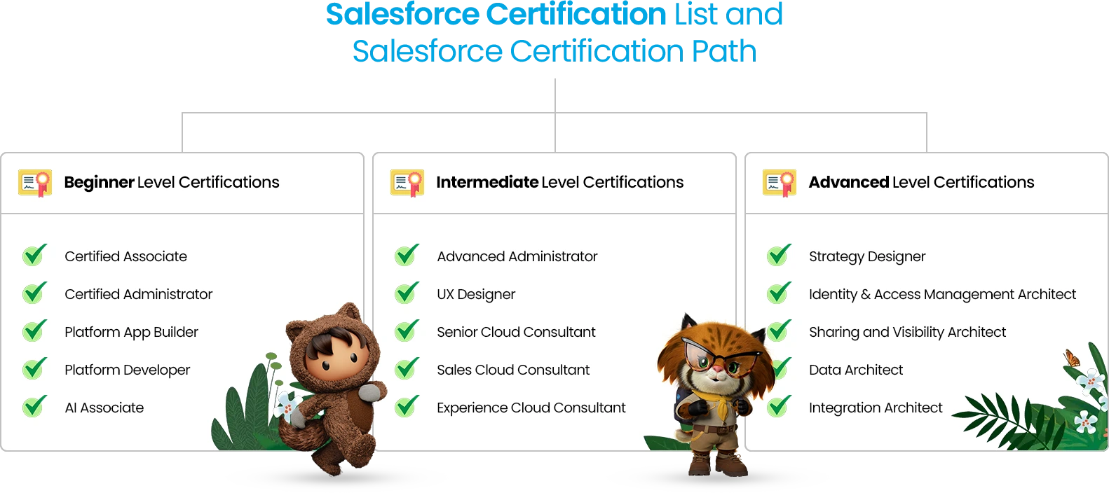 Salesforce certification list, including beginner, intermediate, and advanced certifications.