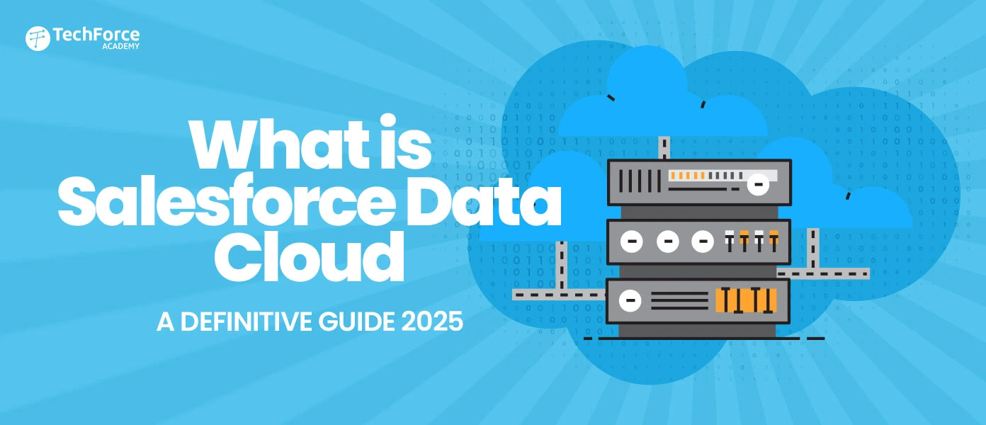 Overview of Salesforce Data Cloud, explaining its features and benefits in a complete 2025 guide.