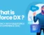 Salesforce DX (Salesforce Developer Experience) guide.