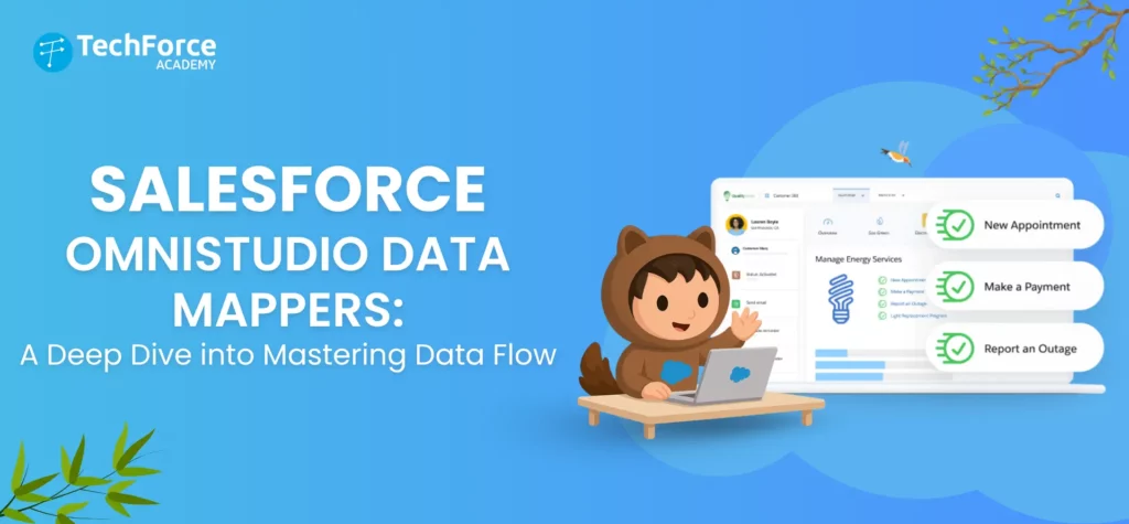 Guide to mastering Salesforce OmniStudio Data Mappers and data flow